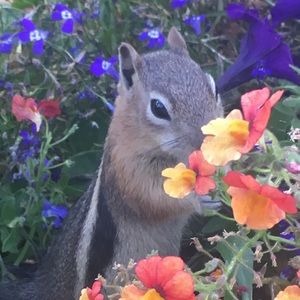 Meet your Posher, Yasmin